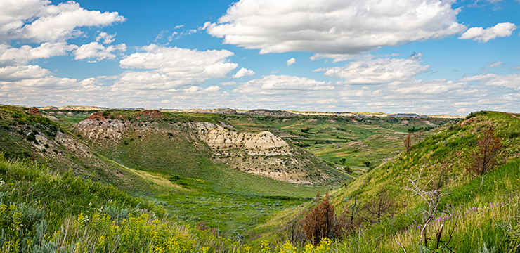 pleasant american landscape