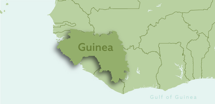 map_guinea