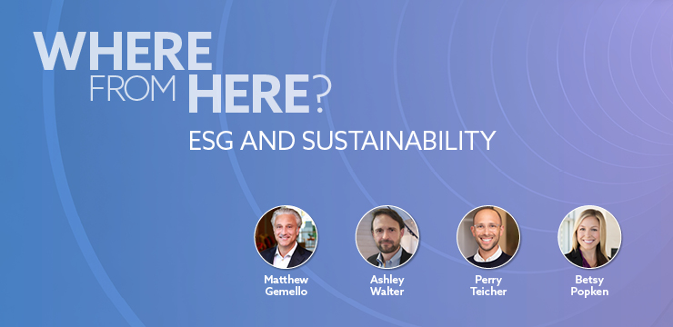 Where From Here? ESG and Sustainability