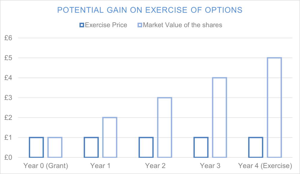 graph: Potential Gain on Exercise of Options
