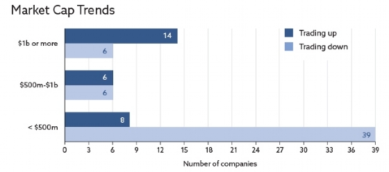 chart: Market Cap Trends