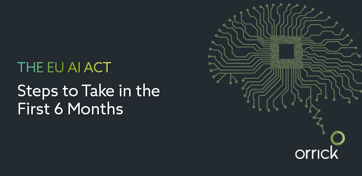 The EU AI Act: Steps to Take in the First 6 Months