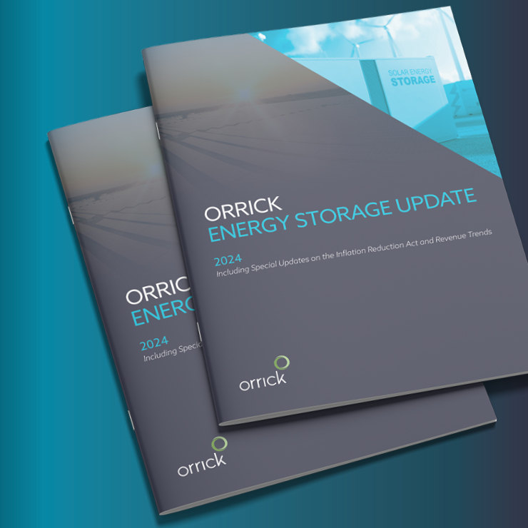Orrick Energy Storage Report 2024