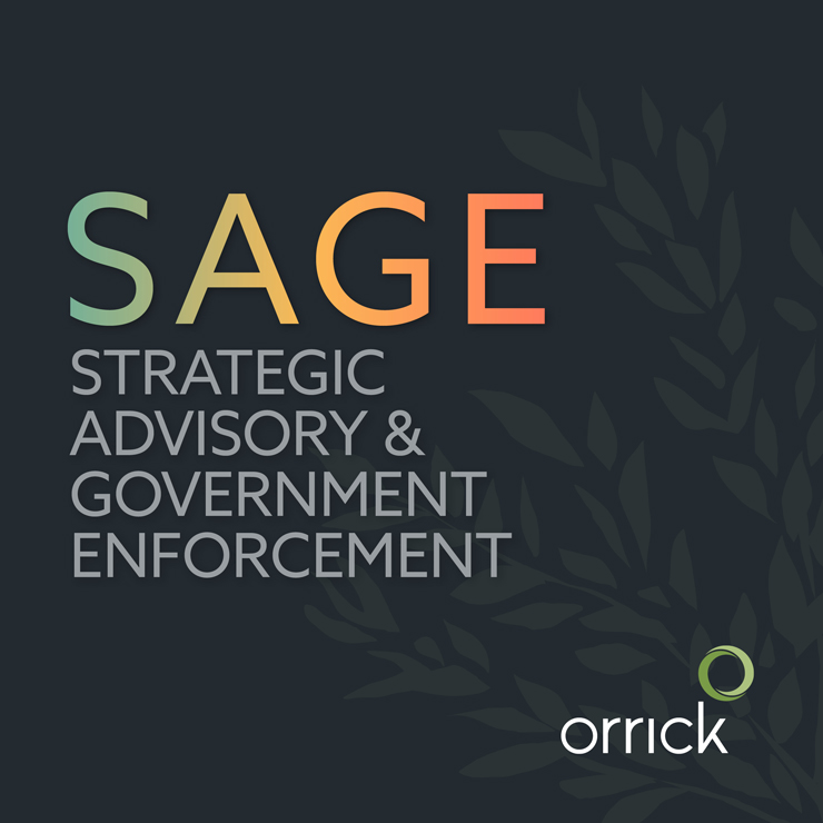 SAGE | Strategic Advisory & Government Enforcement