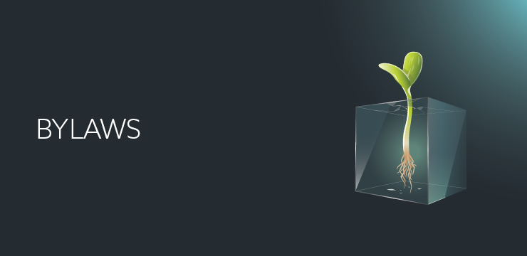 Tech Studio form Bylaws