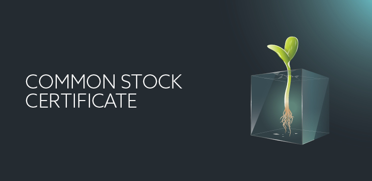 Common Stock Certificate | Orrick Tech Studio