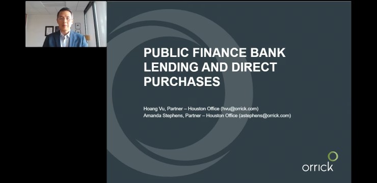 Public Finance Bank Lending and Direct Purchases